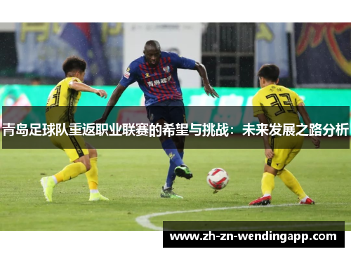 青岛足球队重返职业联赛的希望与挑战：未来发展之路分析