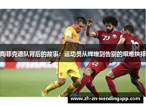 陶菲克退队背后的故事：运动员从辉煌到告别的艰难抉择
