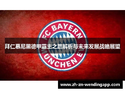 拜仁慕尼黑德甲霸主之路解析与未来发展战略展望