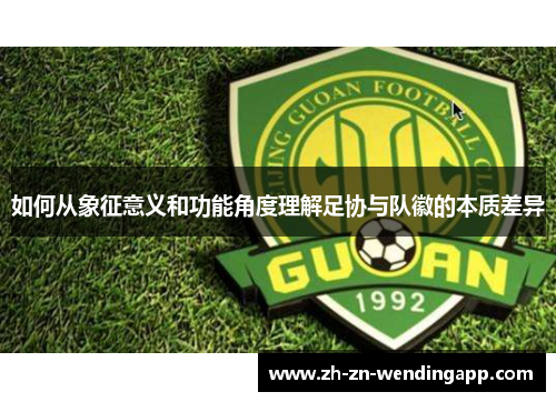 如何从象征意义和功能角度理解足协与队徽的本质差异