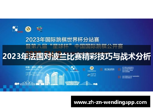 2023年法国对波兰比赛精彩技巧与战术分析