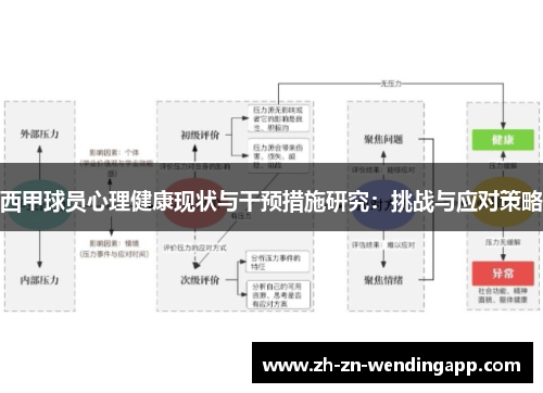 西甲球员心理健康现状与干预措施研究：挑战与应对策略