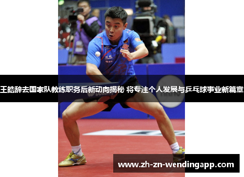 王皓辞去国家队教练职务后新动向揭秘 将专注个人发展与乒乓球事业新篇章