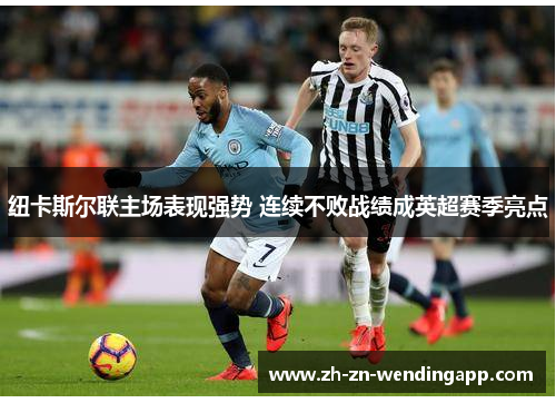 纽卡斯尔联主场表现强势 连续不败战绩成英超赛季亮点