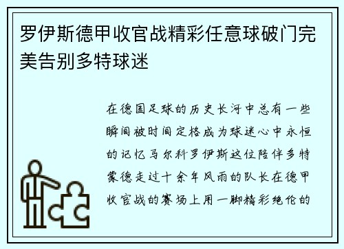 罗伊斯德甲收官战精彩任意球破门完美告别多特球迷 罗伊斯德甲收官战精彩任意球破门完美告别多特球迷